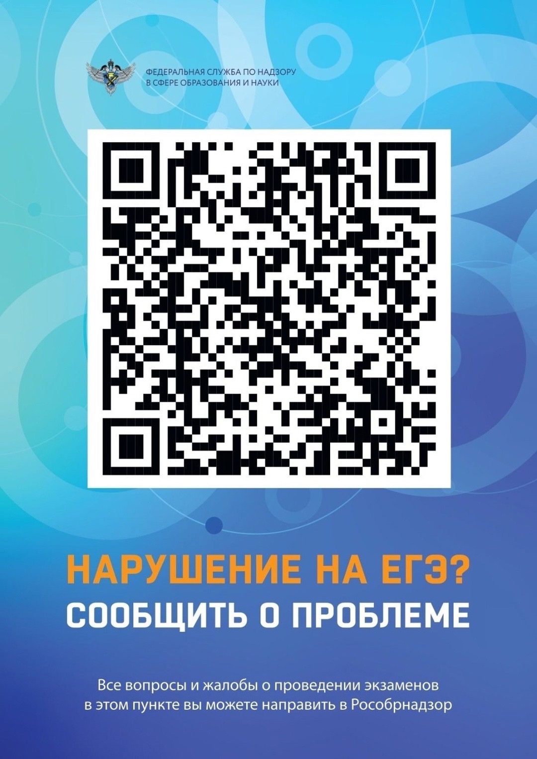 ЕГЭ. Обратная связь
